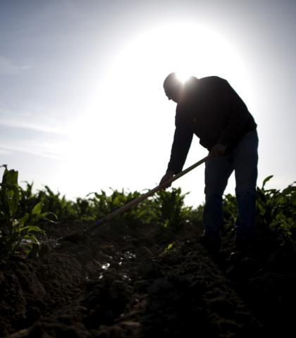 outdoor worker heat ordinance