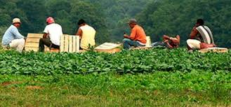 Modern Migrant Workers